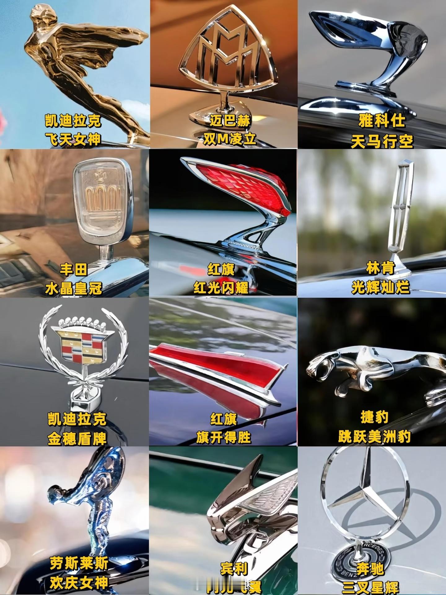 哪个立标最丑