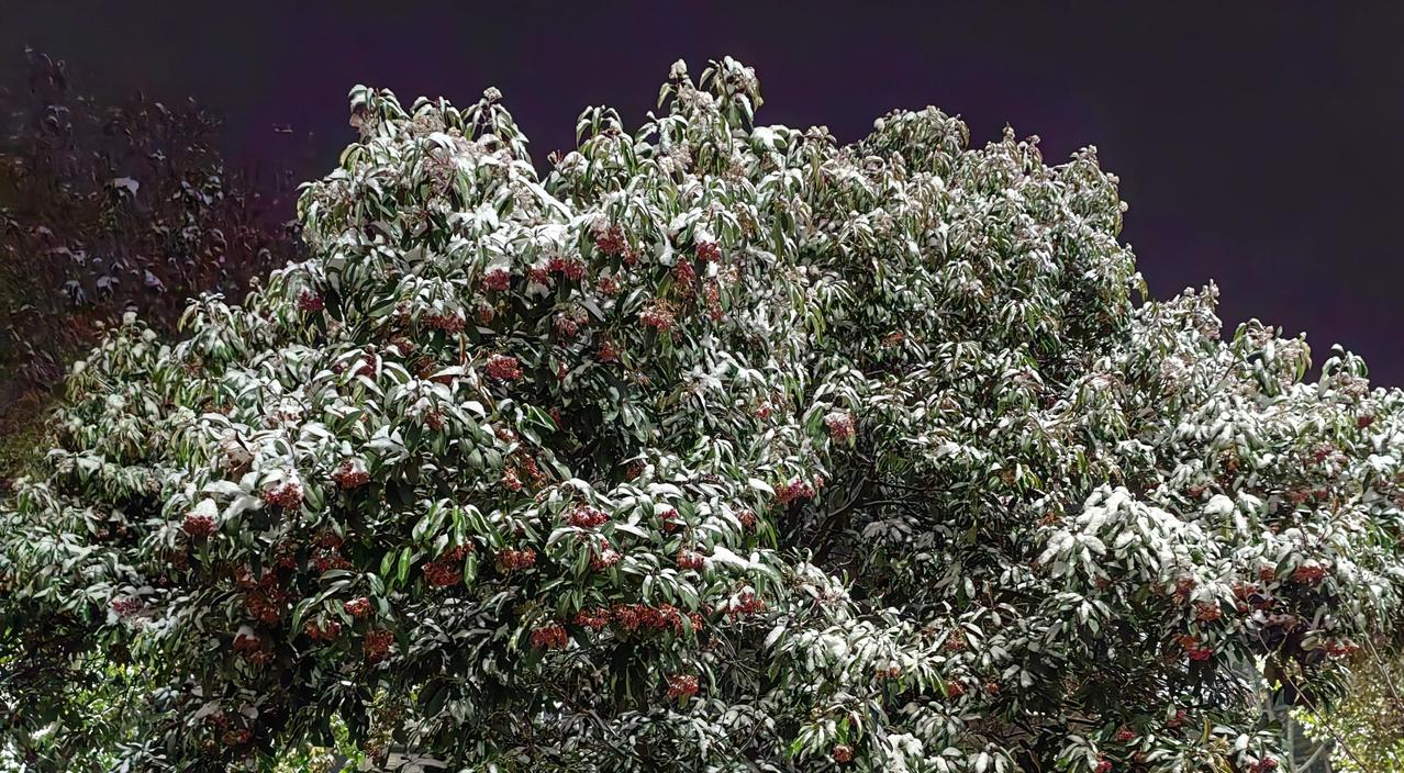 上班的学问大了，全搞懂很难。有的人在单位“上班”，每月把统筹和医保交给单位，不