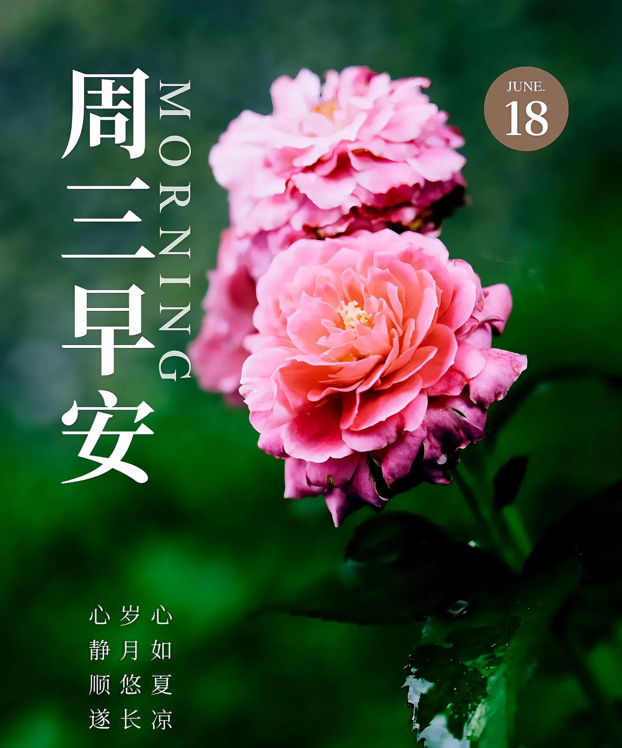 夏日虽炎热，有问候亦清凉。围坐树下，轻声细语，共度悠然时光，便是最美的幸福；踏着