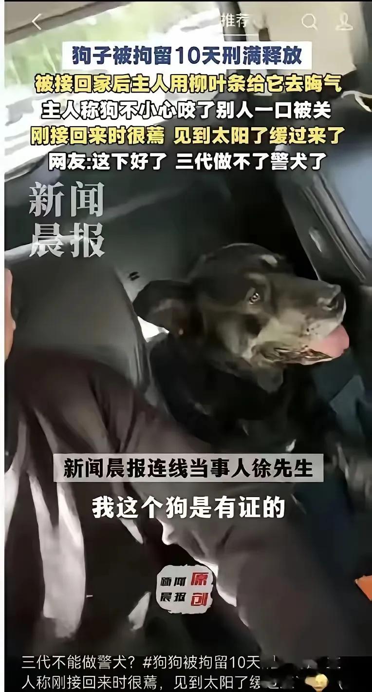 对于狗来说，我们不能只盯着它的可爱，却看不到它的危害！想办法消除或者减少它的危害