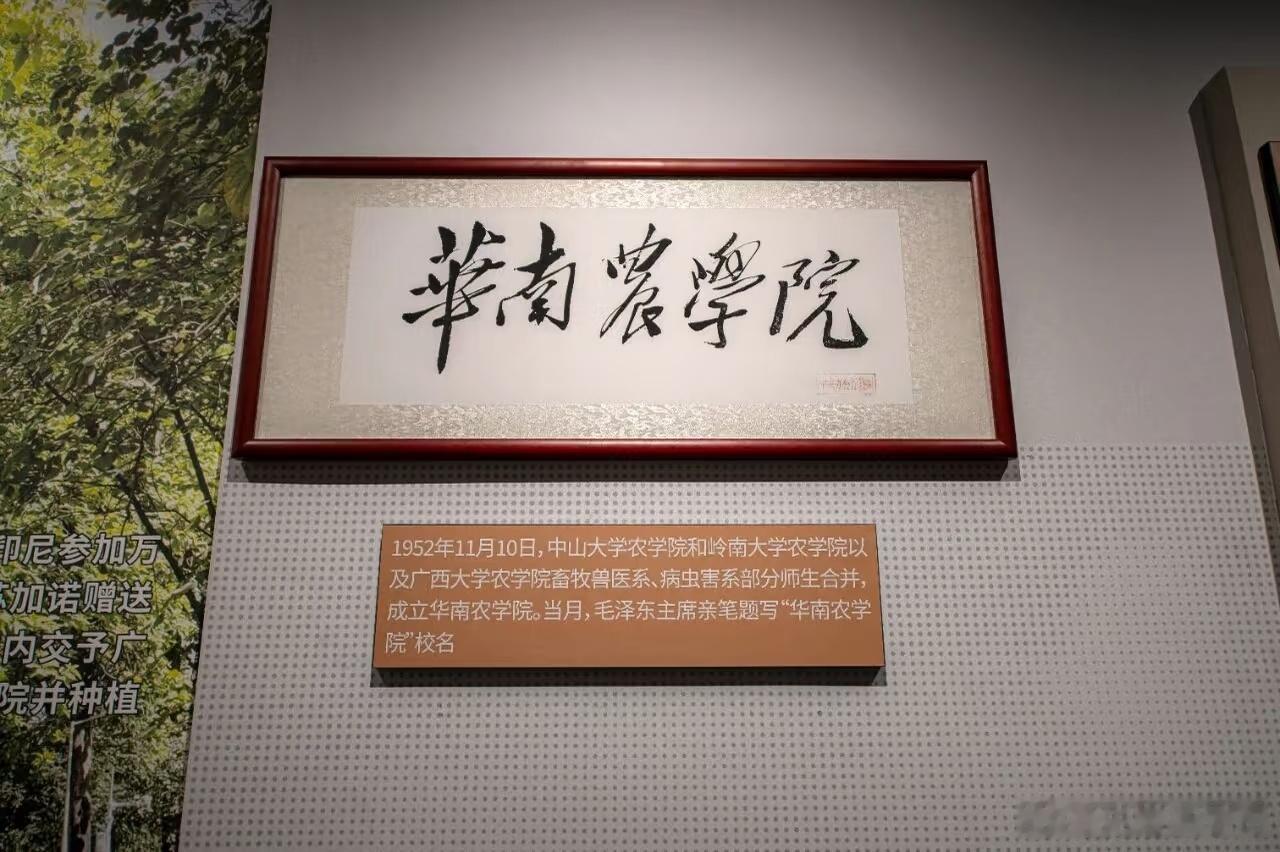 🔻还有校友们补充吗？