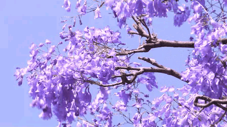 不服来辩！昆明全球第15名凭什么？这三个字让曼谷新加坡都沉默！你以为“春城”