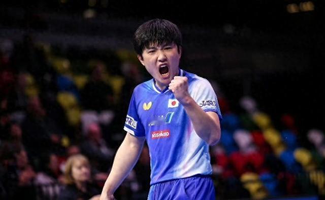 张本智和3-0获胜北京时间10月26日,乒乓球WTT伦敦球星赛继续进行,男单赛