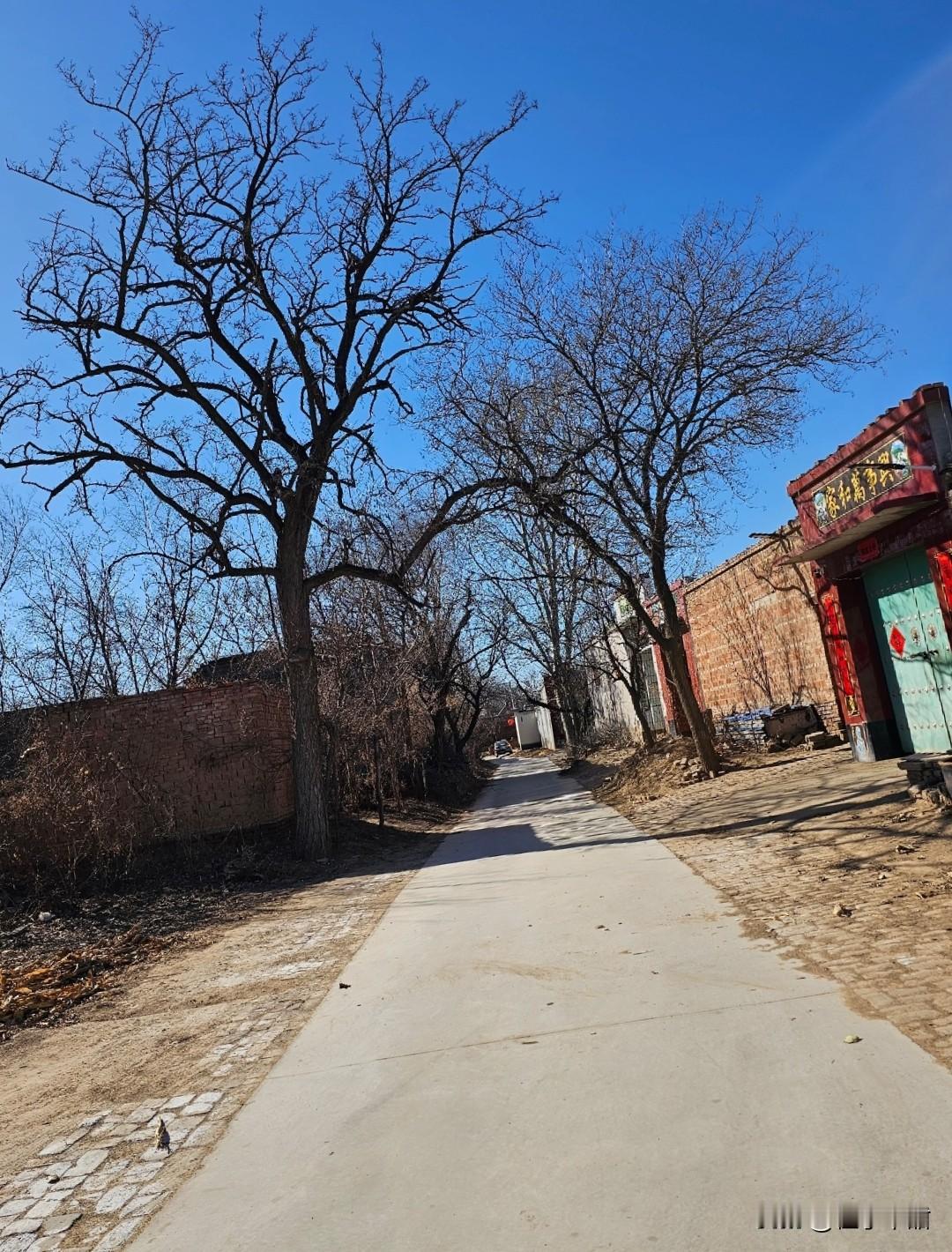 提前通知一声请大家做好心理准备今天，也就是2月4号，就正式进入节气意义中的春