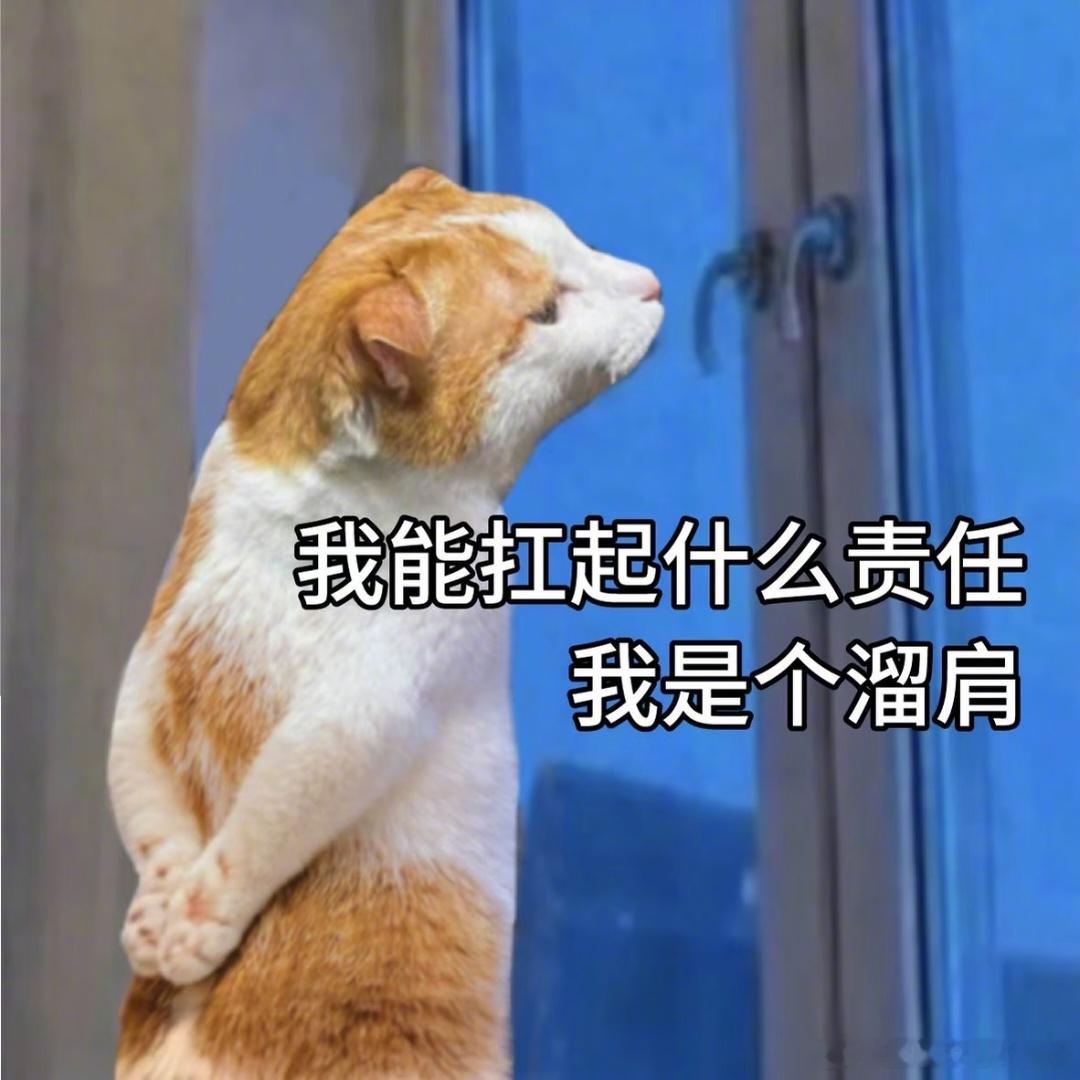 白羊座：只要我跑得够快，尴尬就追不上我金牛座：只要我不看账单，我就没有乱花钱双子