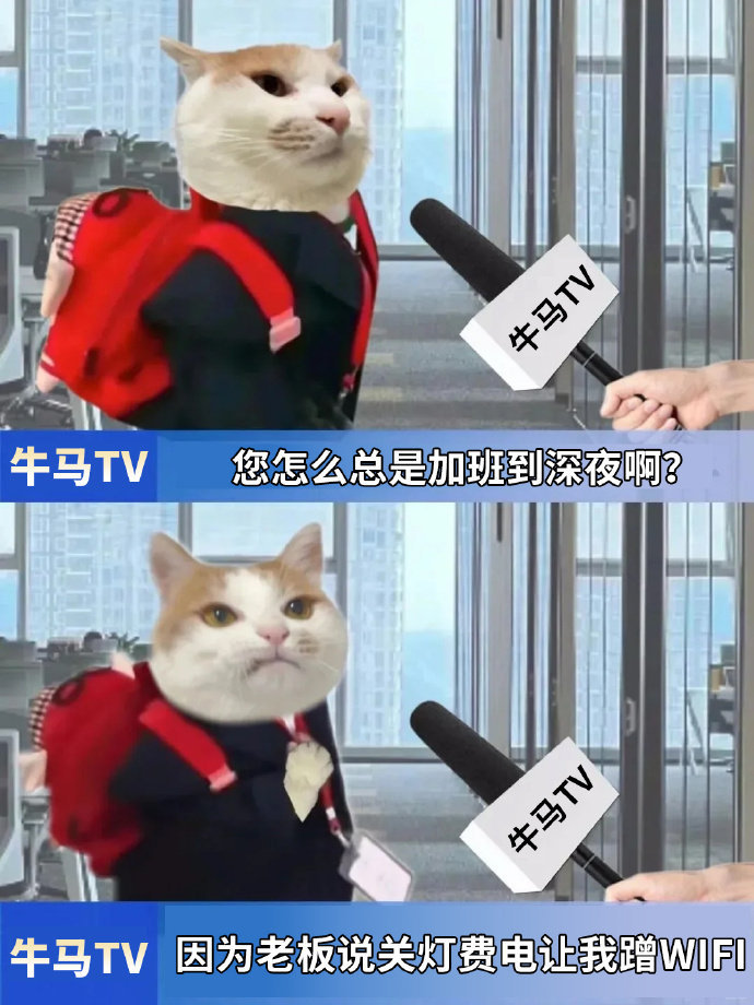 保温杯里泡咖啡,枸杞配着褪黑素,对着Excel练颈椎操,带薪去厕所算带薪休假。刚