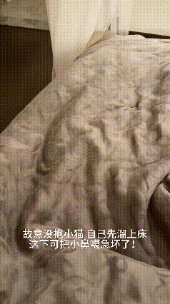 被自家猫主子怨上了！这小模样谁顶得住啊乖乖嘞，俺家这小祖宗真是急毁了！主