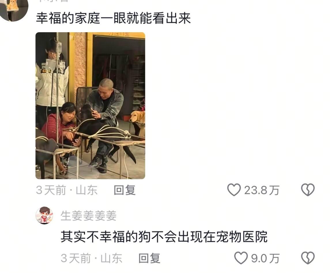 不幸福的狗不会出现在宠物医院