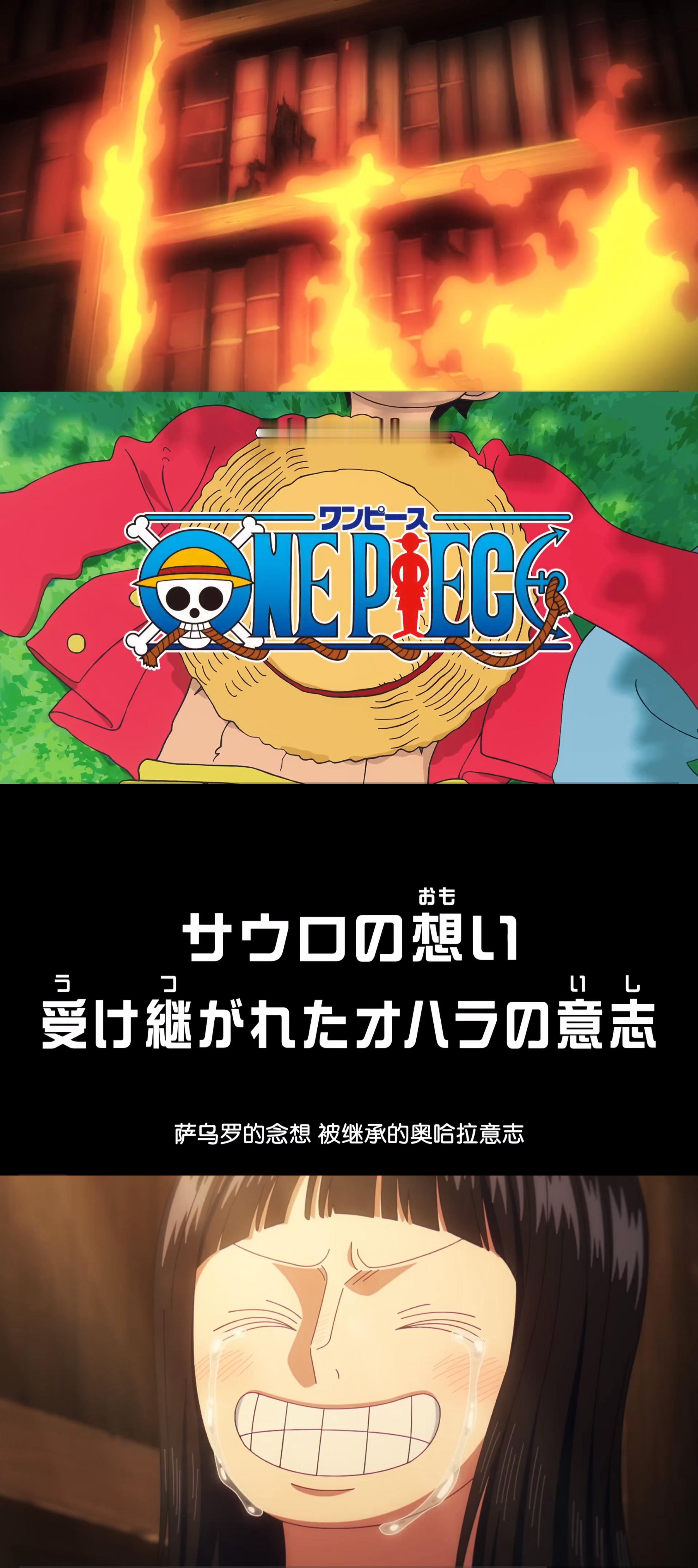 【考拉妙趣享OnePiece动画周追说】OnePiece动画第1164话⤷萨