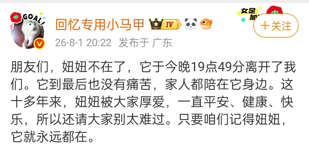 萨摩耶妞妞走了