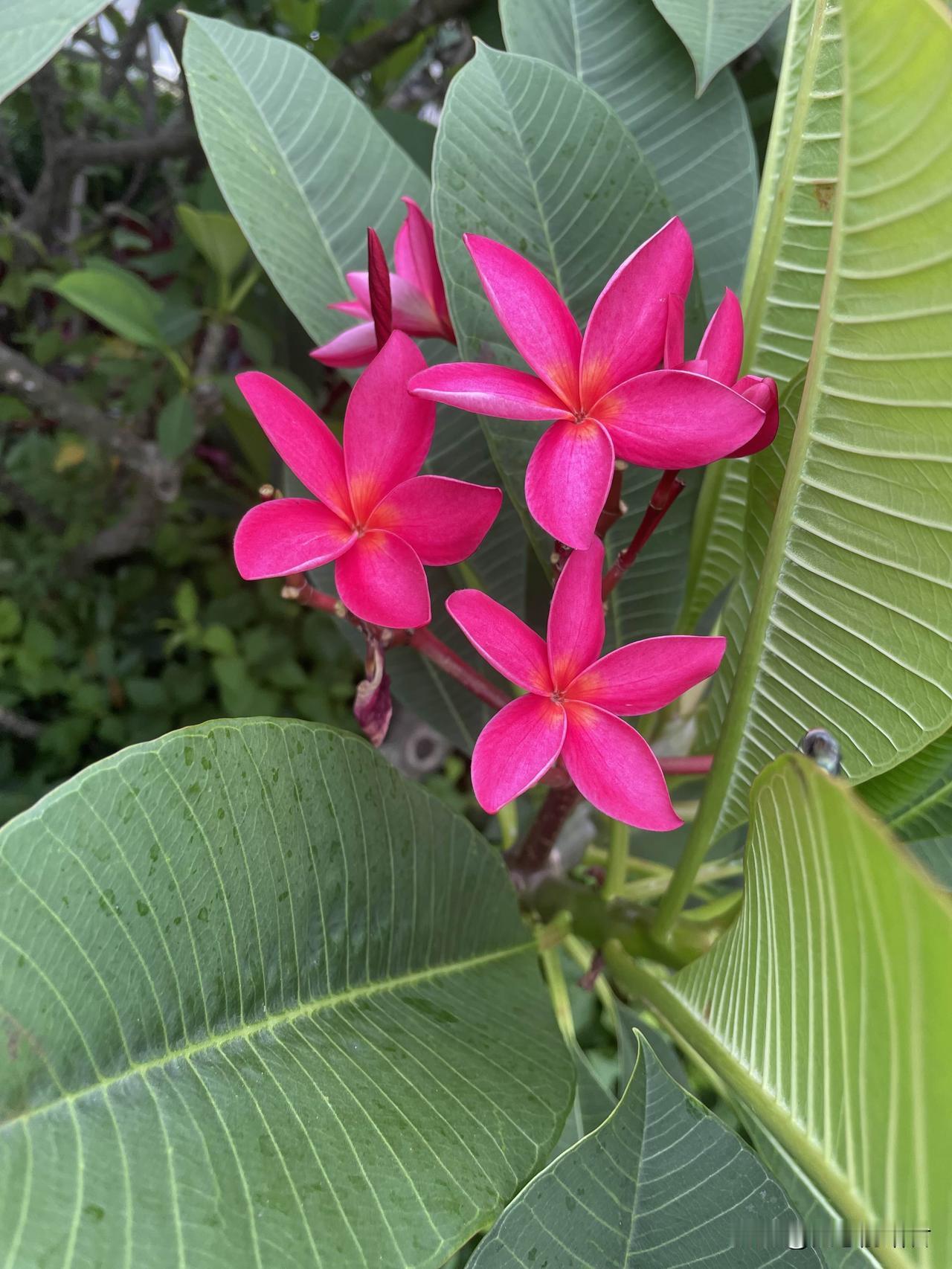 这种偷家的女人真不能要。一女子，为了给做生意亏了钱的弟弟补贴，偷了婆婆店里的货卖
