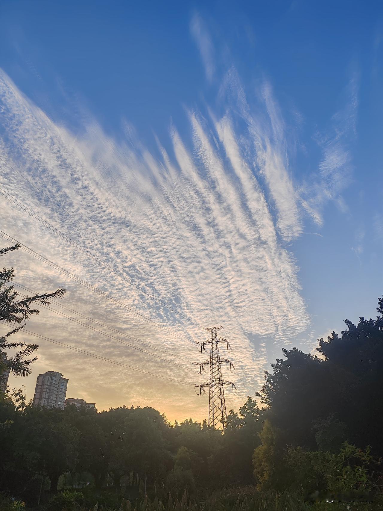 中国人口越减越少，全球总人口却要涨到104亿？这些数据让你一眼看清！咱们常