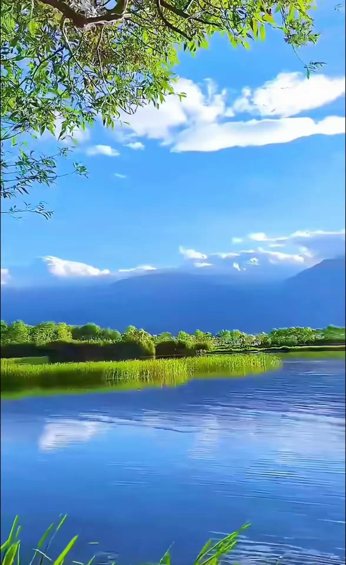 宁静湖畔，绿意盎然，云卷云舒，心旷神怡。🌿💦🍃