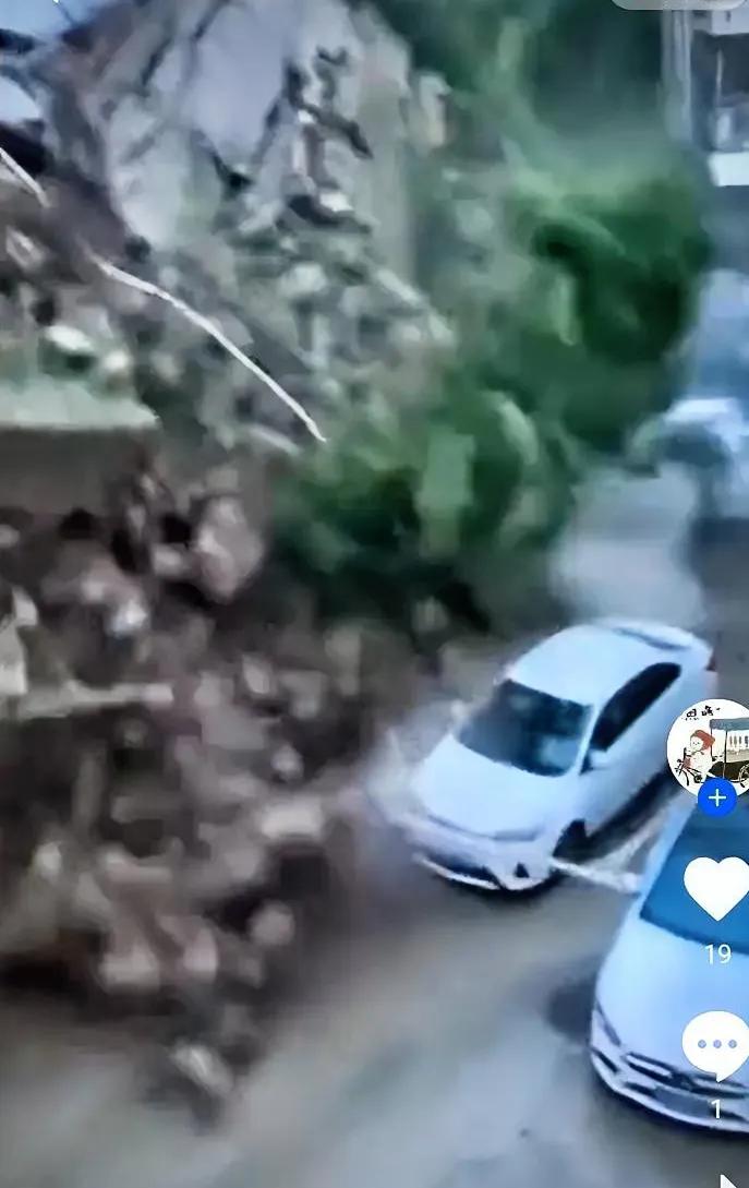 延安丰泽园小区遇自然灾害！比起祈福，这一点更该被记住刷到延安丰泽园小区的消
