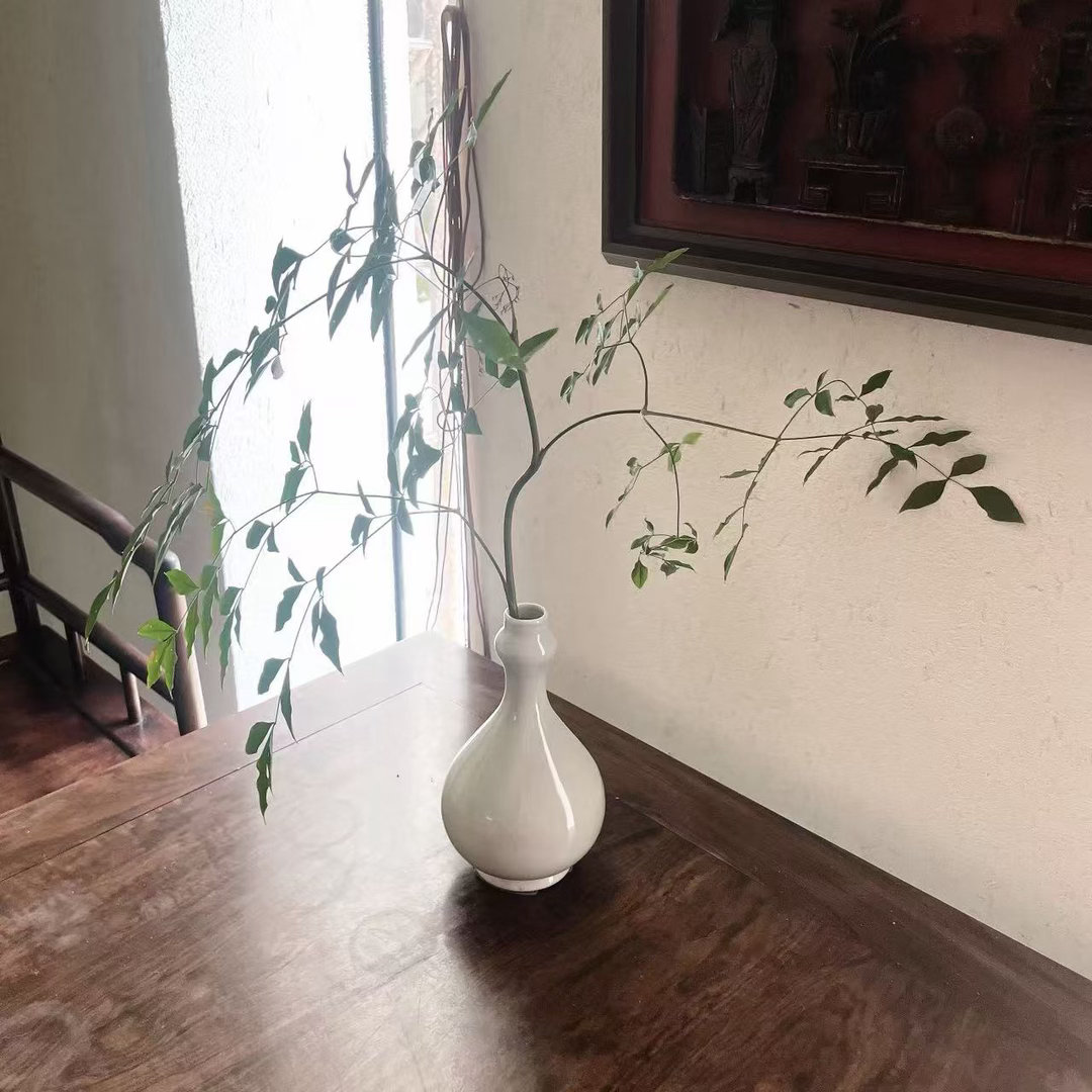 #李兰迪#李兰迪｜只念往昔似水无痕🐾​​