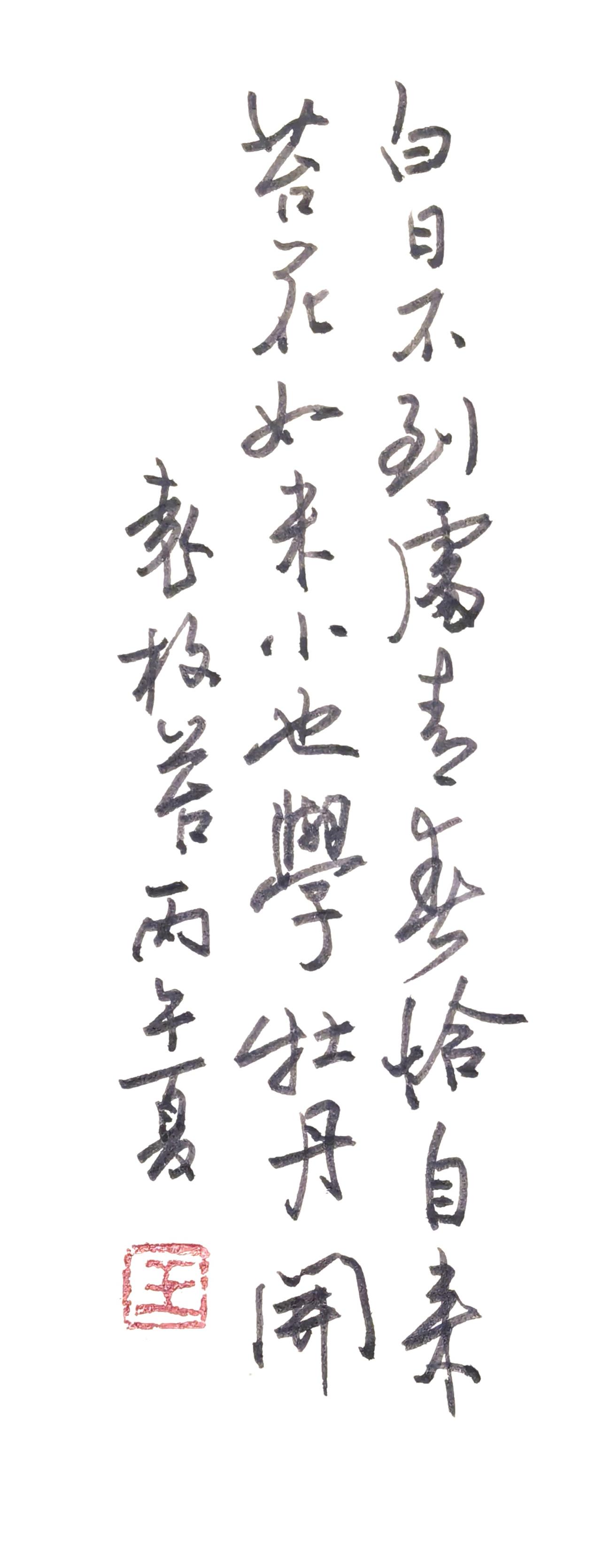 书法作品完整解读一、释文辨认正文（清代袁枚《苔》）白日不到处，青春恰自来。