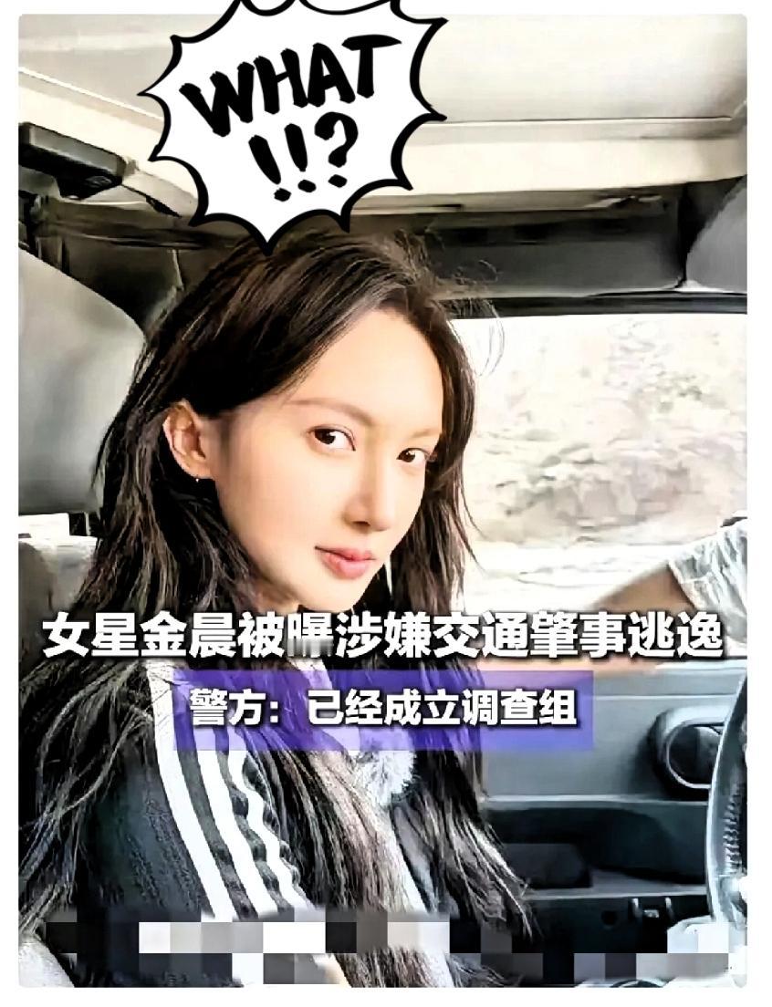 和在交警大队上班的同学聊天，金晨只是撞了指示牌和墙，为什么要别人顶包，交警同