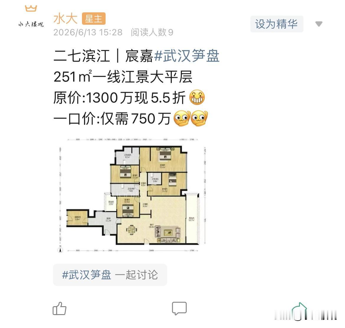 今日美居二七滨江，大平层，251平，看江，750万，这个还是很