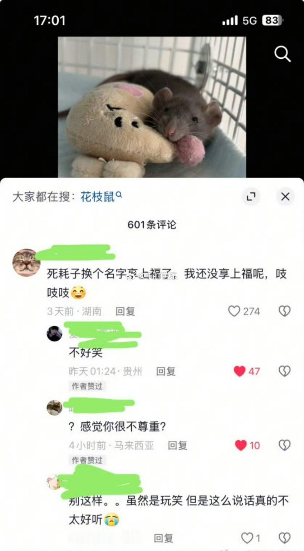 下水道老鼠就这样嫉妒​​​