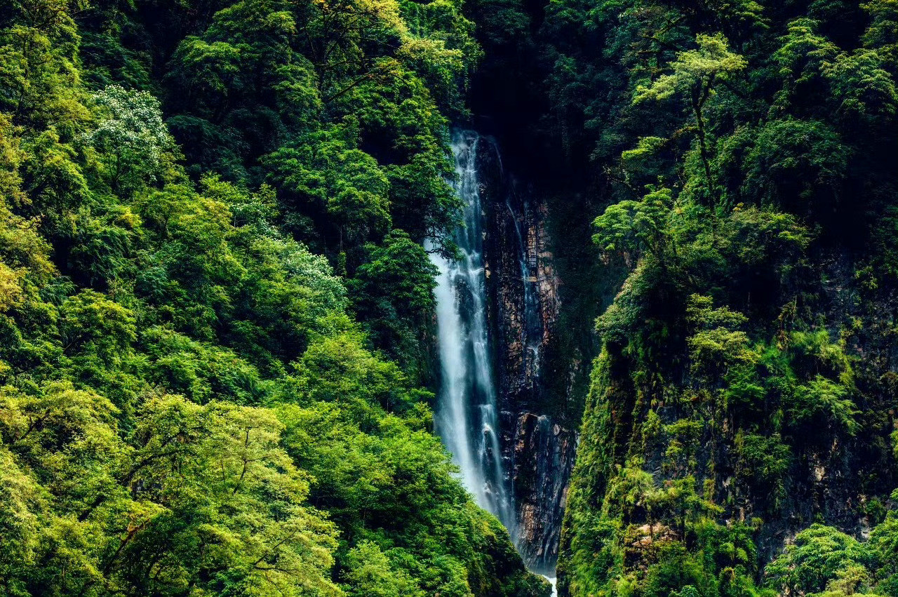 西藏墨脱，她是高原孤岛，她是秘境莲花，她是隐藏在世界最大峡谷深处的遥远和神秘。