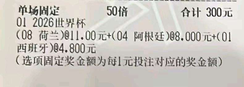 谁能告诉我，这张彩票竞猜的是什么东东？评论区有网友说这是竞猜“谁是冠军”的单子