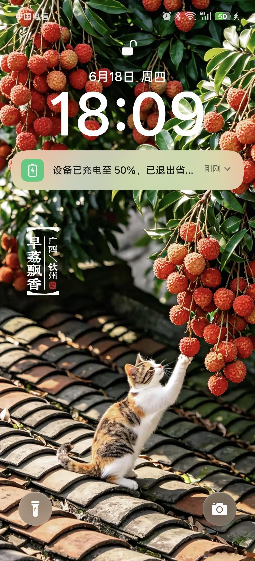 哇塞，看小猫咪多可爱