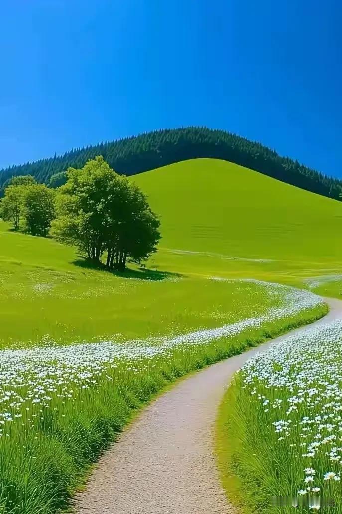 张雪峰这一席话，真是扎了无数家长的心窝：“不管孩子多不争气，多叛逆，多不靠谱