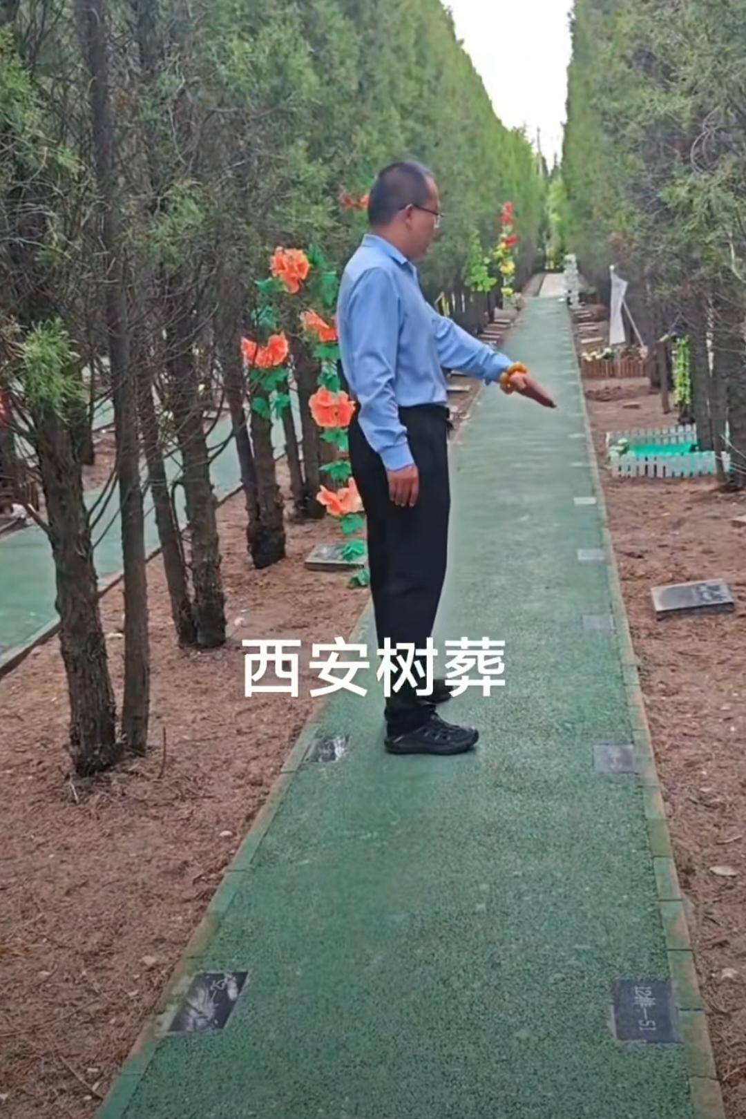 墓地里全是喷涂成绿色的硬化路，墓碑前面栽上一排树就成了“树葬”？窄的9900，面
