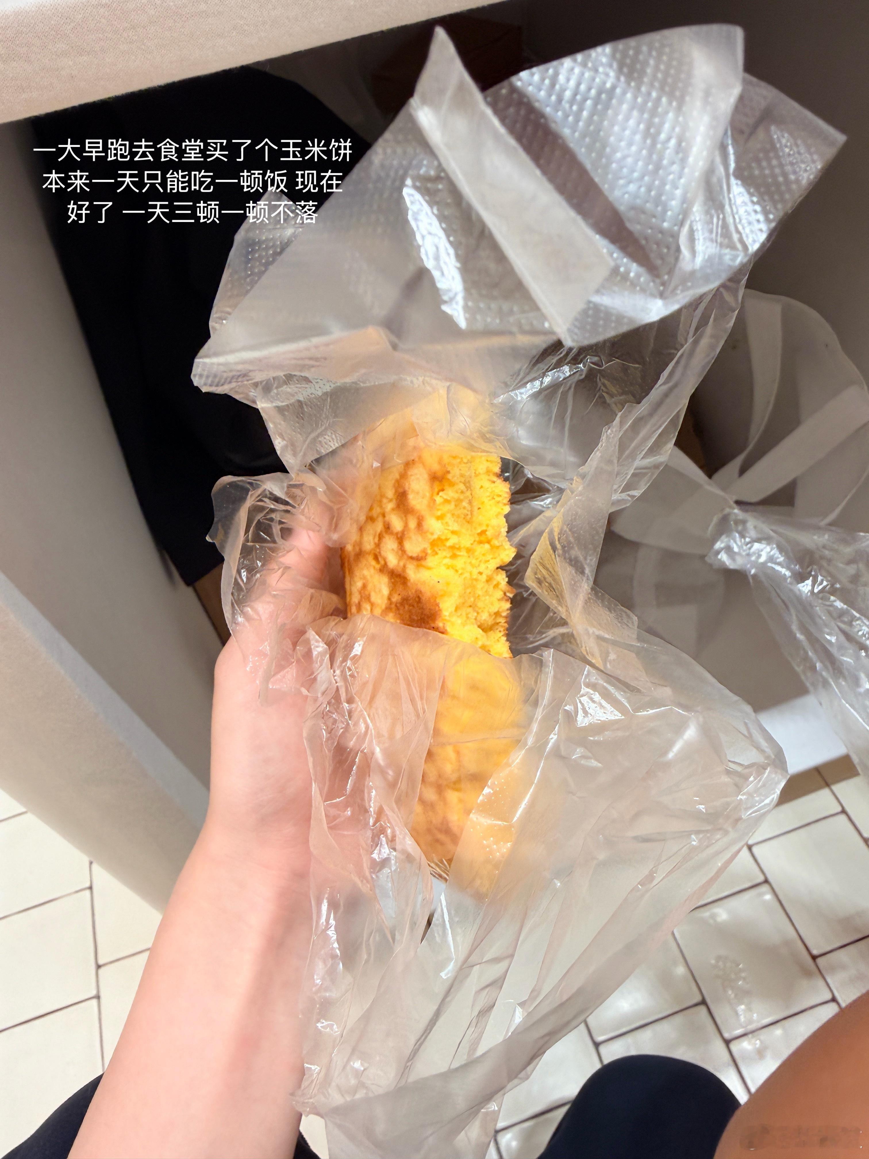 闺蜜我以后天天更新每日盒饭好不好🥺