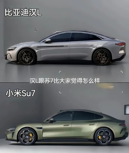 从汉与Su7侧颜来看，我觉得汉还是协调一点！