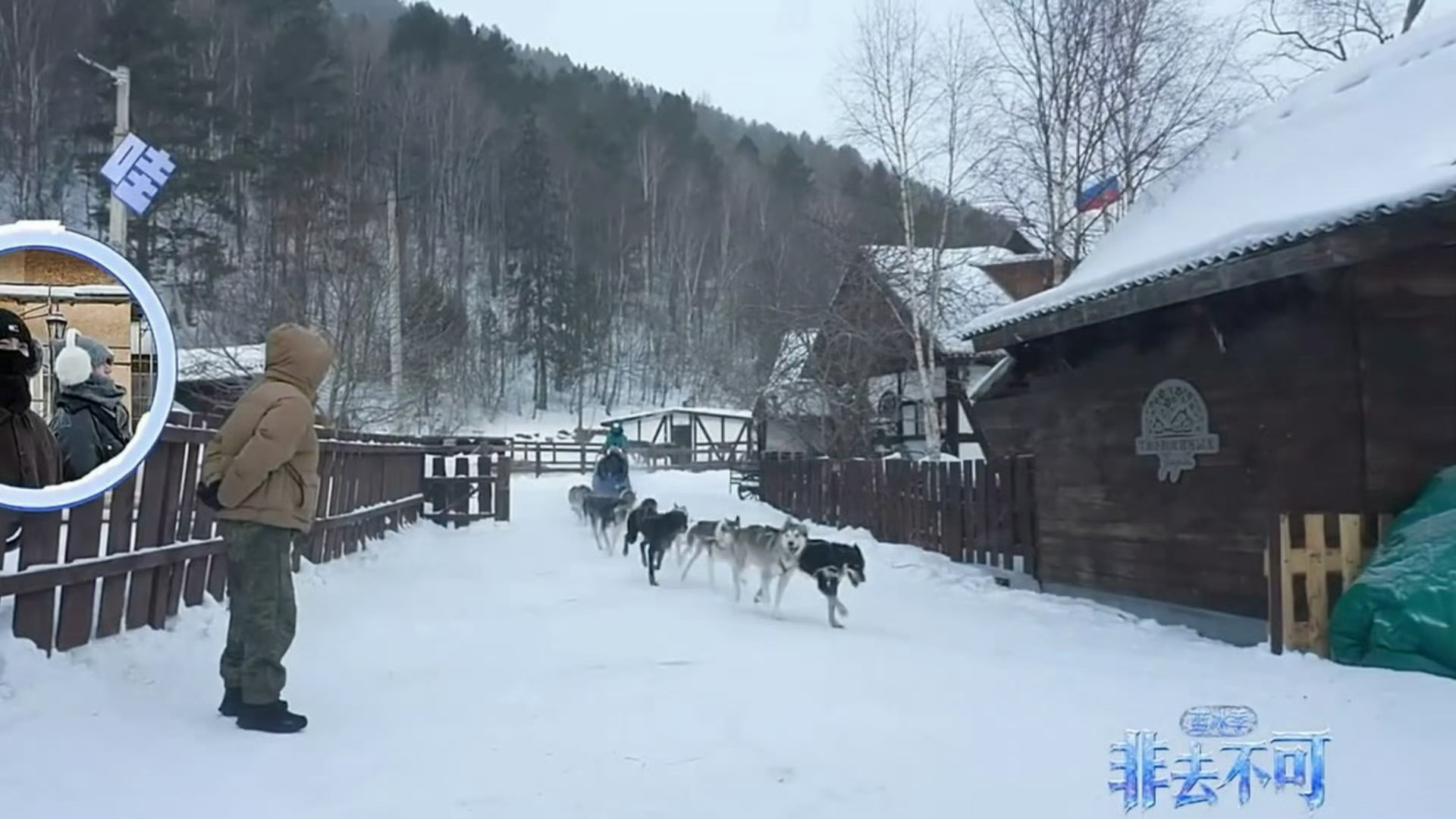 狗老大坐在车上被雪橇犬拉着驰骋的时候满脑子想的都是家里还有一只雪橇犬没拉过雪橇！