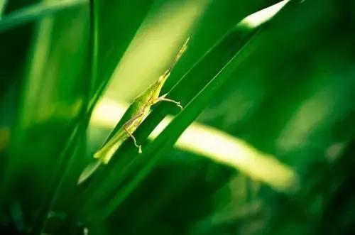教育不是培养完美, 而是让孩子成为最好的自己