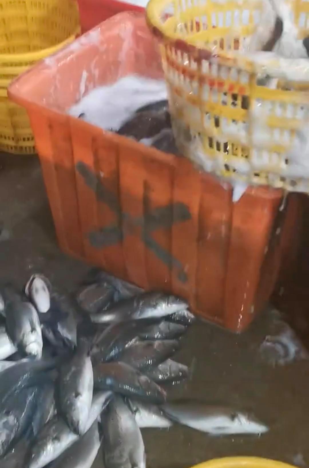 水产“镇静剂”风波：你吃的活鱼安全吗？背后的隐患与行业良知之殇今年9月，网友