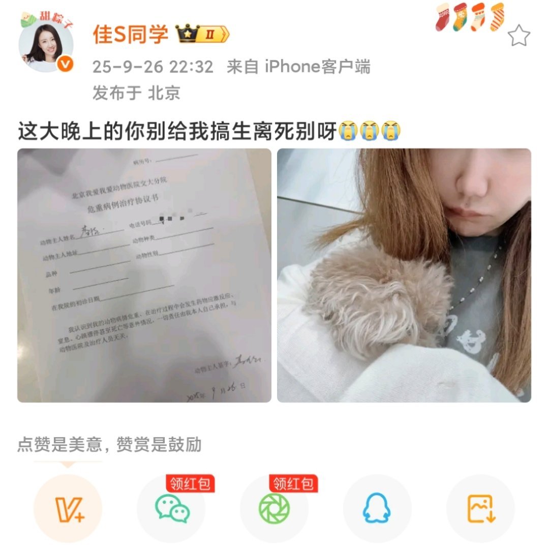有些养宠物的人比较冷漠，而冷漠的人吸引冷漠的人，闭环了。​​​