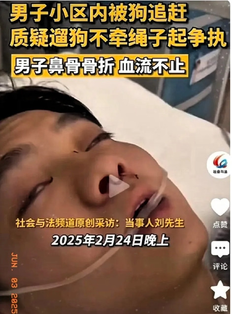 闹大了！男子被遛狗女打伤后续，女子拒不认错，身份还成谜，这事儿太让人气愤！遛狗不