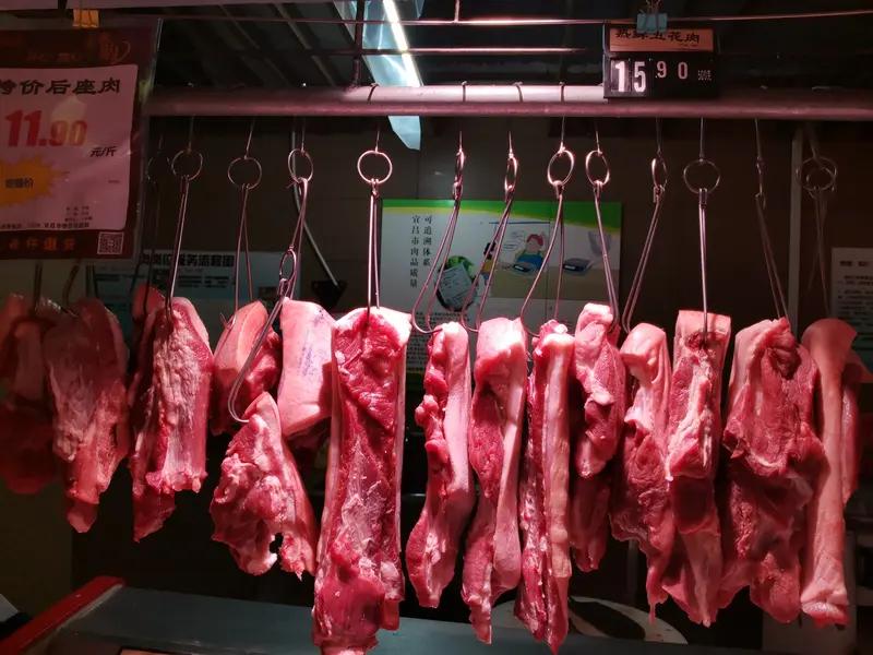 具体来看，一方面，饲料成本的高位运行持续挤压养殖利润，加上资金链紧张，不少养殖户