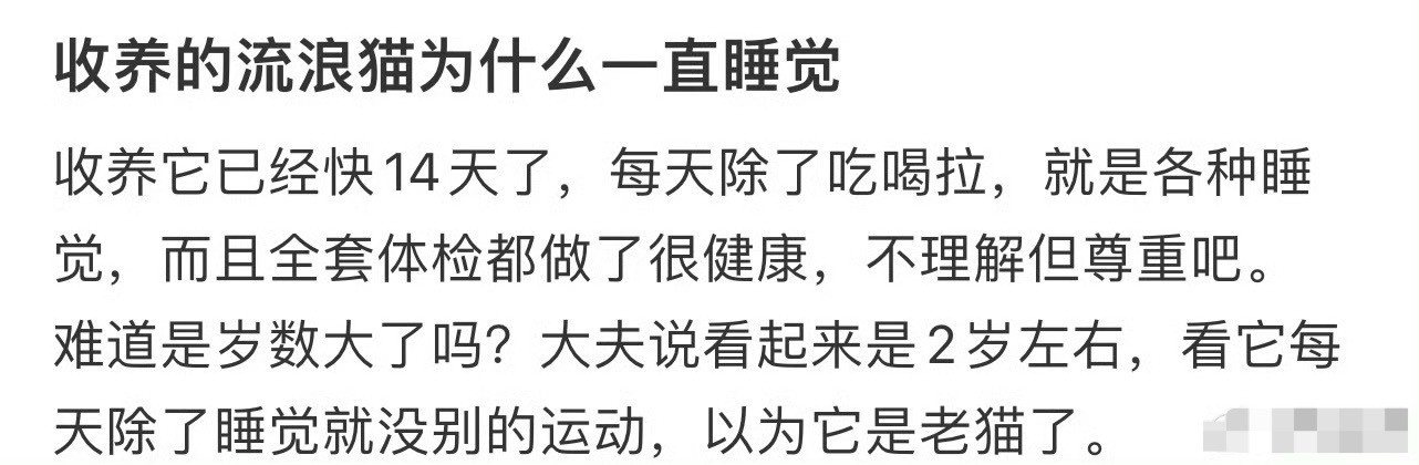 收养的流浪猫为什么一直睡觉？[惊恐]​​​