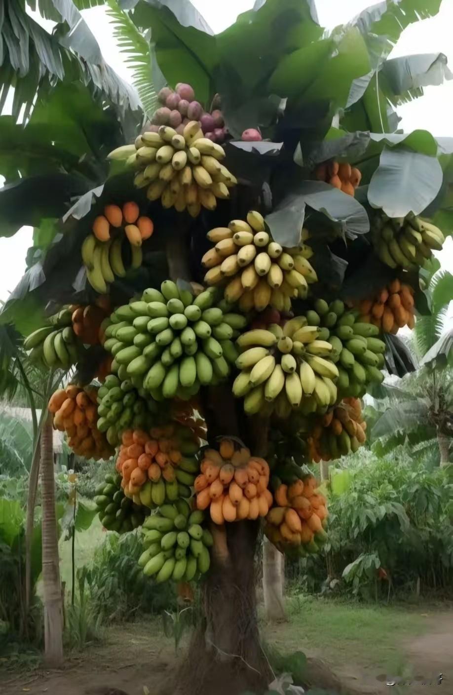 女人，那有什么岁月静好生活不是朋友圈，没人天天阳光灿烂、瑜伽咖啡、母慈子孝。