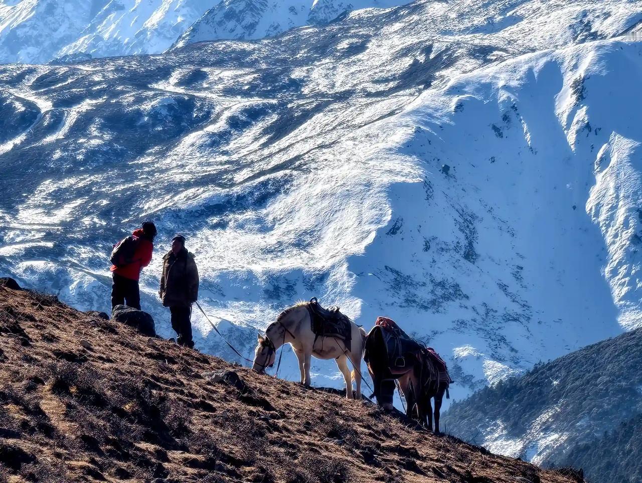 一名大学研究生在川西田海子徒步时不幸离世，徒步的朋友也转发了那条视频。高反成为去