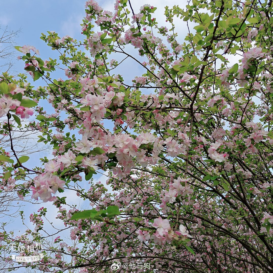 天初暖，日渐长，人间四月好春光。