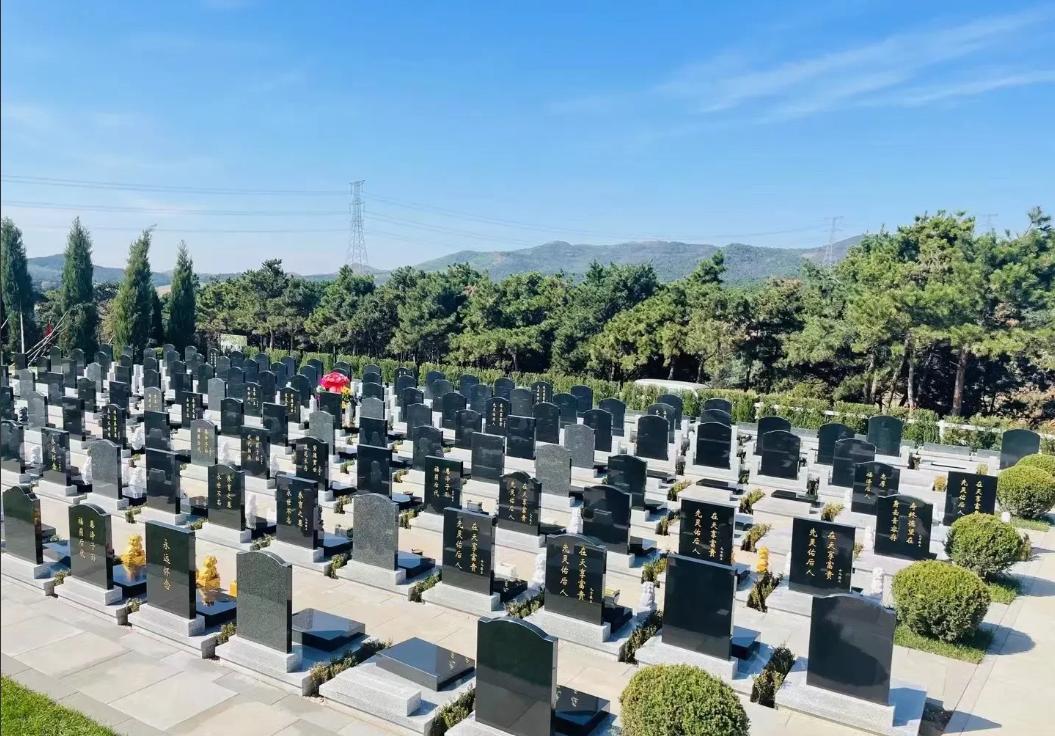 清明节，发现了一个怪现象：家庭越穷，越是没有几个人扫墓，甚至一个人都没有；