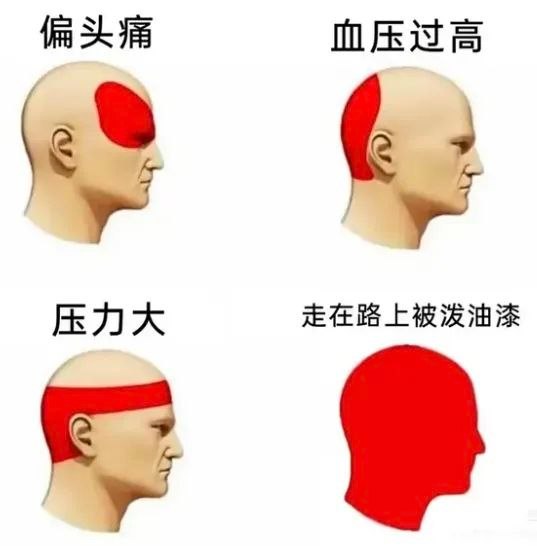 还真是