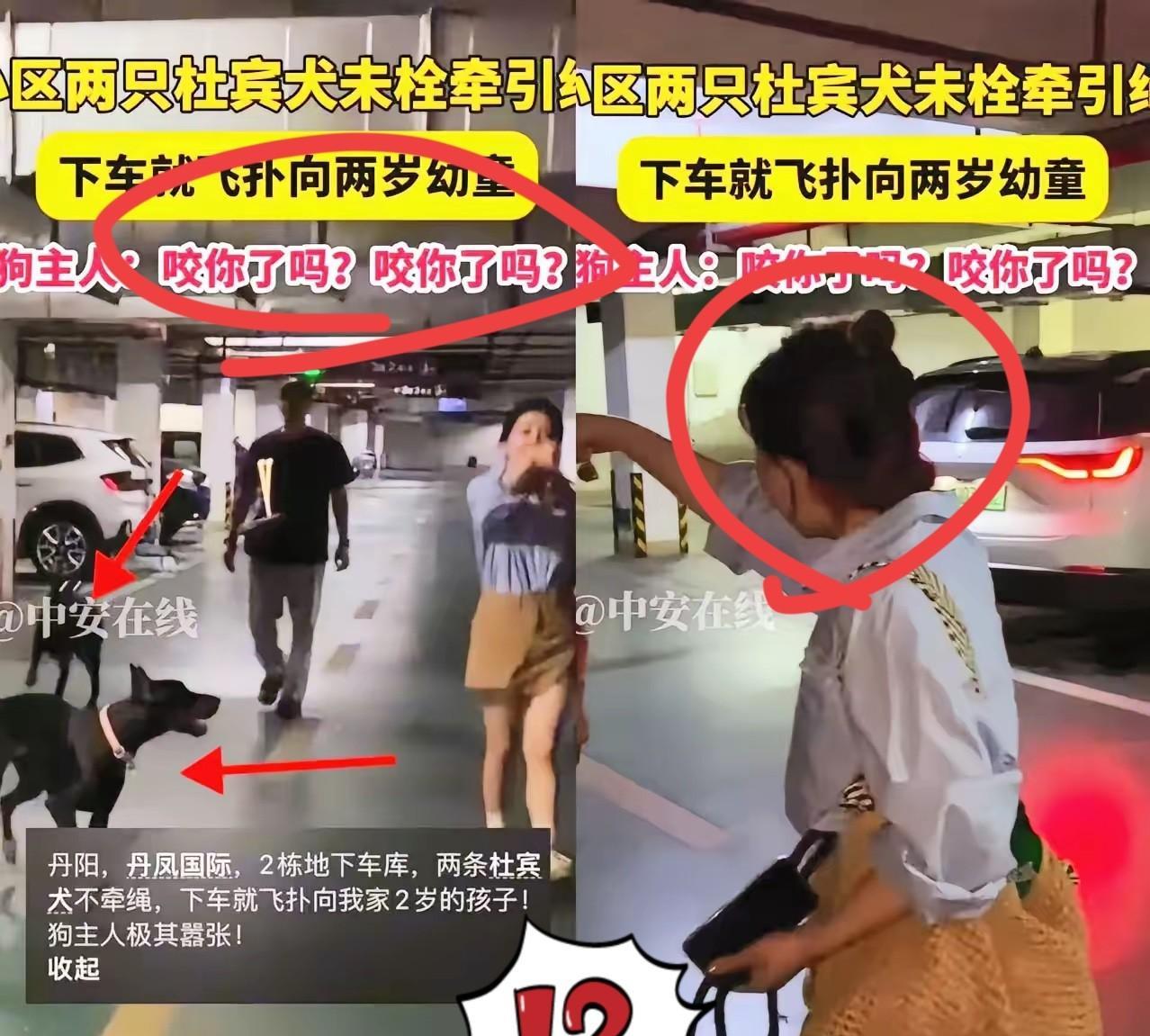 特意去查了下丹阳公安的抖音号，视频评论里清一色的留言：狗主人找到了吗？在线等结果