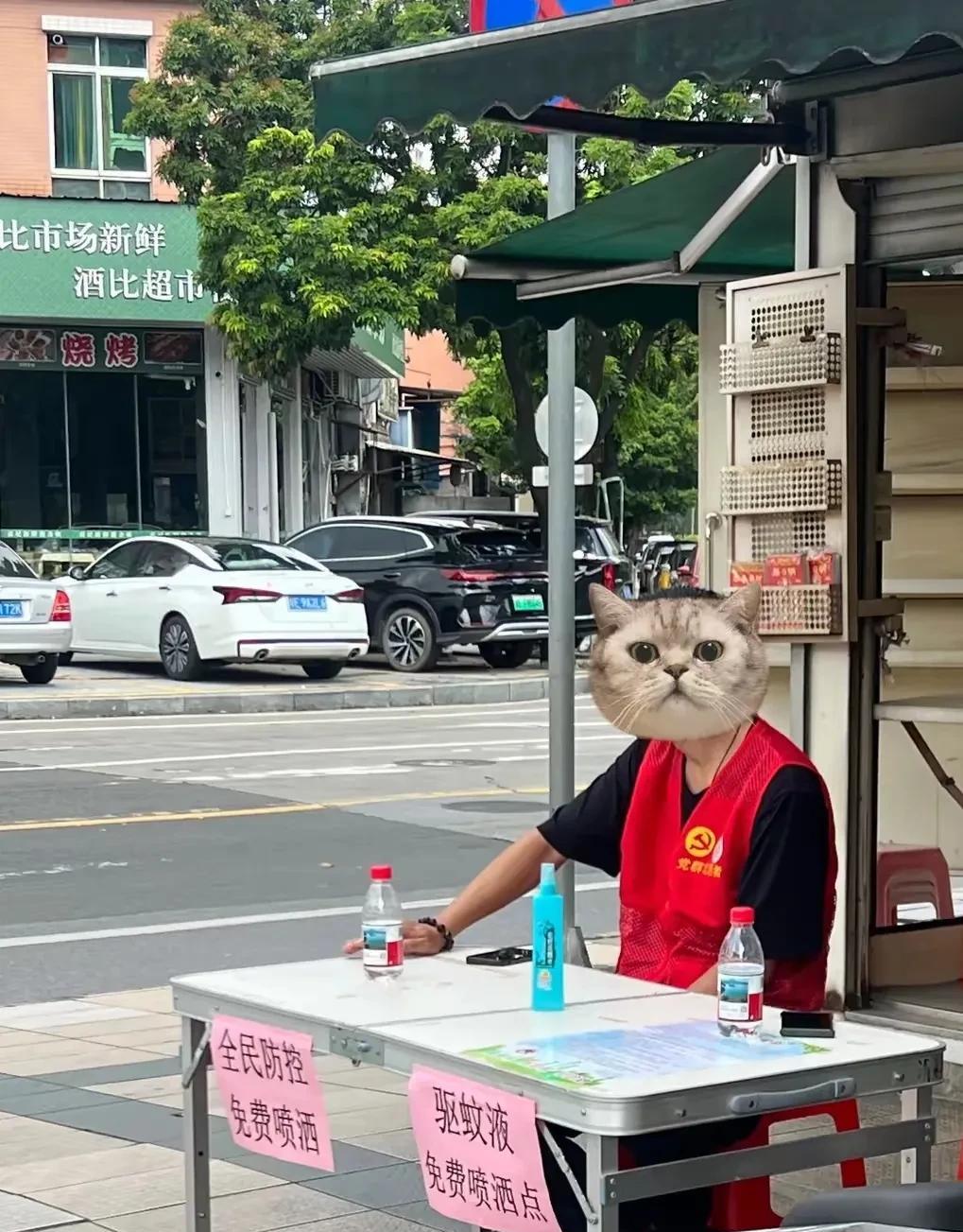 看你毒蚊子还往哪里逃！中国人要是发动起来，这群众力量真是所向无敌。广东的灭蚊