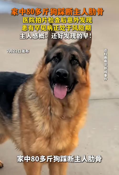 因祸得福！北京一位女士在家被80多斤的大德牧猛地扑过来，重重踩在了胸口，直接