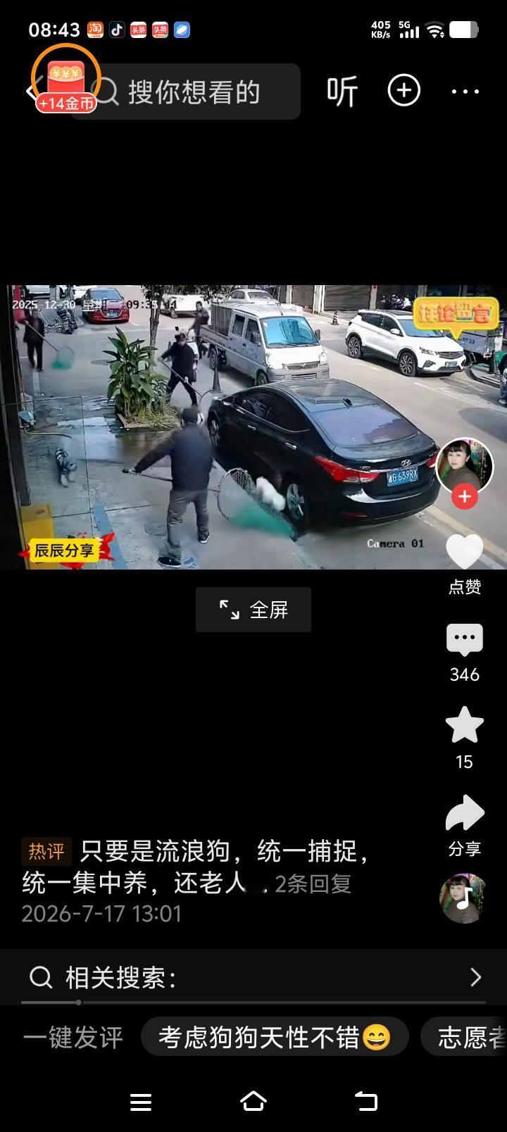 义乌街头捕狗队，大家怎么看？在义乌街头随便溜达的狗子们有人管了，但是流浪狗或