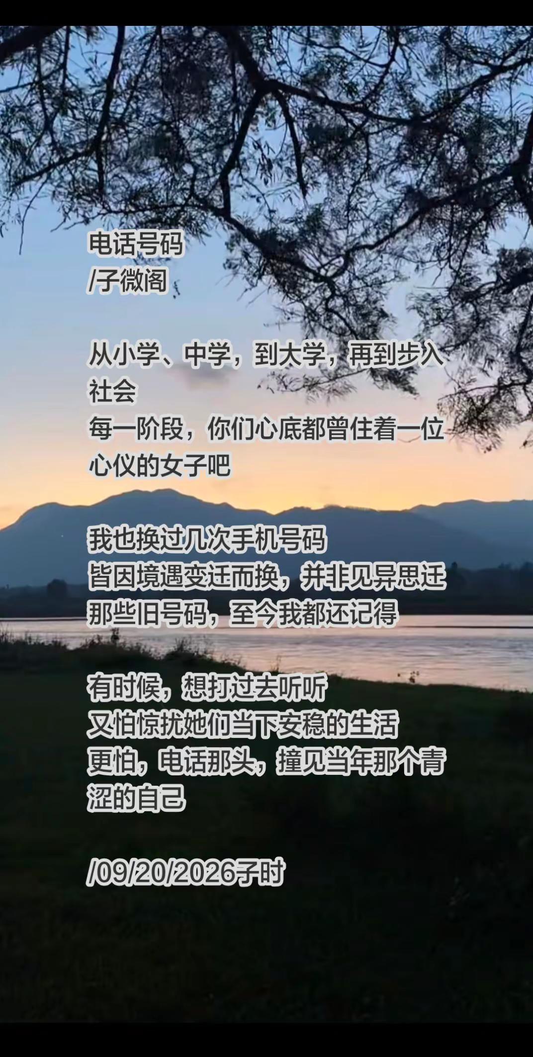 电话号码