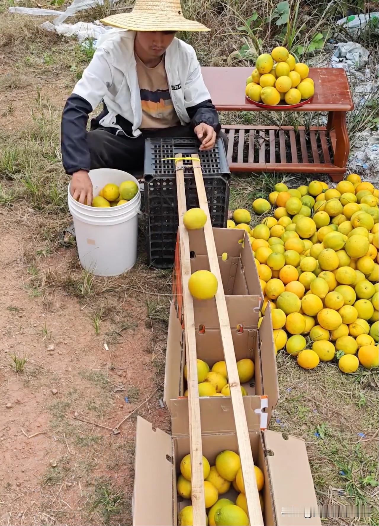 都说劳动人民的智慧是无穷的，看看果农兄弟的水果筛选器你就明白了。小时候听故事说，