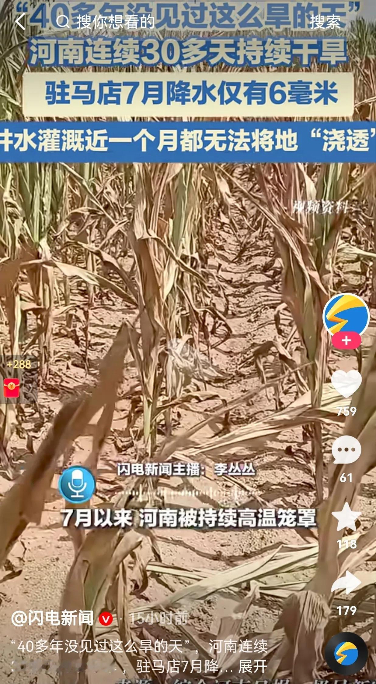真的是旱的旱死涝的涝死！河南连续30多天持续干旱，驻马店7月降水仅有6毫米，农民