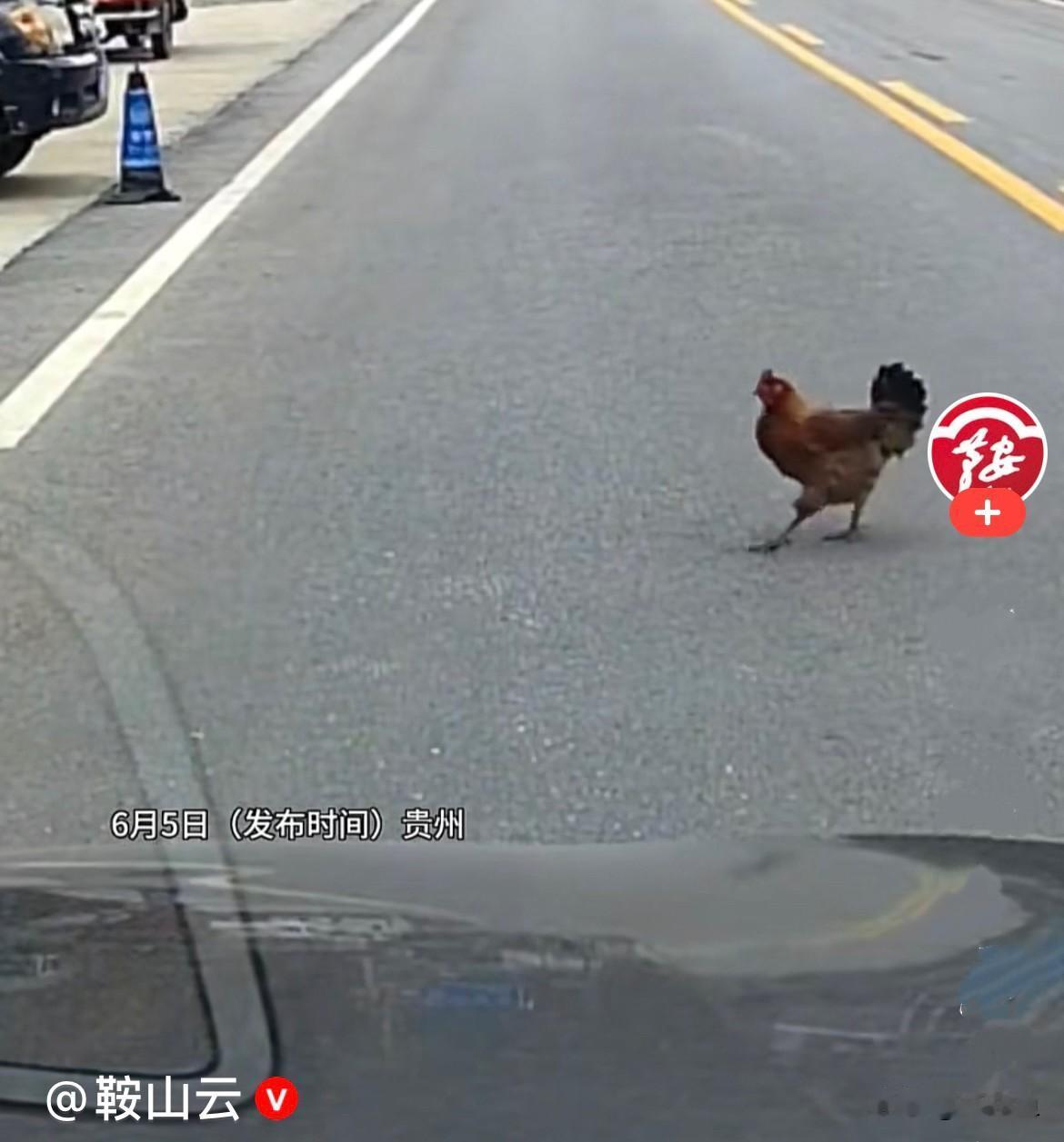 近日，贵州山间公路上，发生了一件又暖心又惊险的神奇一幕，看完瞬间相信：人间所有善